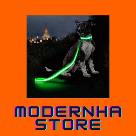 Anti Lost Night Safety USB Rechargeable LED Glow Up Adjustable Dog Leash-MODERNHA™